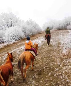 Georgia Horse Riding