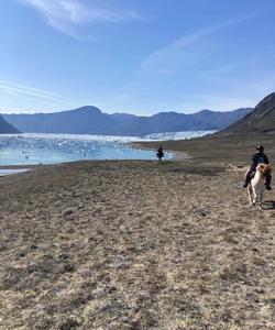 Greenland Horse Riding