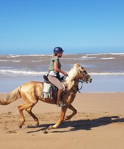 Beach ride