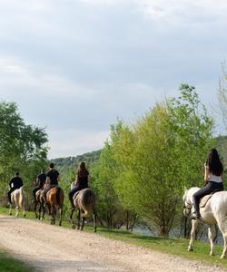 Bosnia Riding