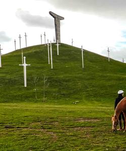 Georgia Horse Riding