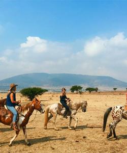 Mexico Horse Riding