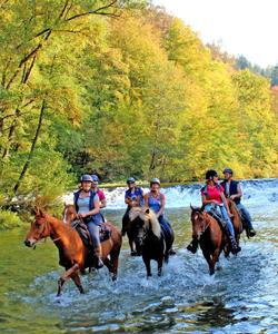 Slovenia Horse Riding