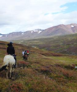 Iceland Horse Riding