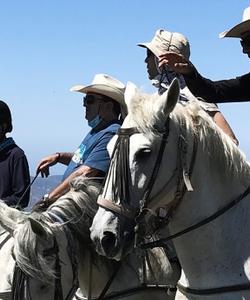 Andalusia Horse Riding