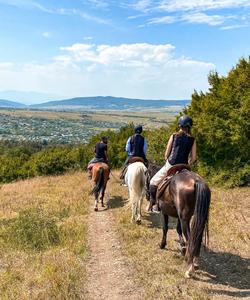 Georgia Horse Riding