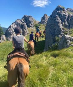 Slovenia Horse Riding