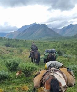 Equestrians exploring the Yukon 