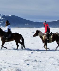 Bosnia Riding