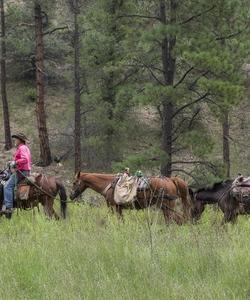 USA Horse Trekking