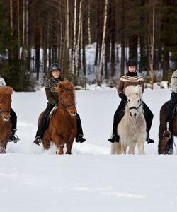 Sweden Riding