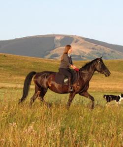 Bosnia Riding