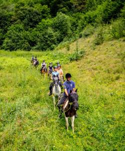 Bosnia Riding