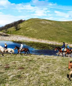 Georgia Horse Riding