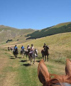 Group horse riding 
