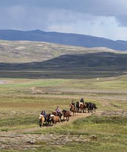 Iceland Horse Riding