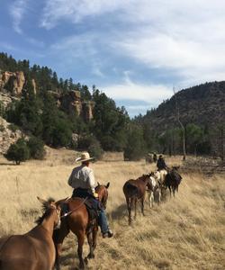 New Mexico Riding