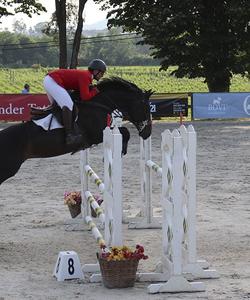 Portugal Dressage