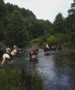 Chile Horse Trekking