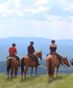 Slovenia Horseriding