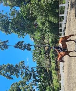 Costa Rica Riding