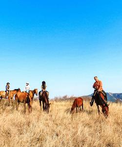 Georgia Horse Riding