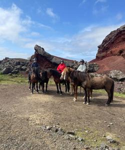 Iceland Horse Riding