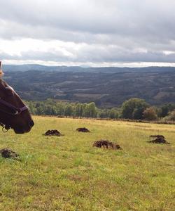 Serbia Horseriding