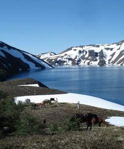 Chile Horse Riding