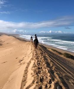 Beach ride 