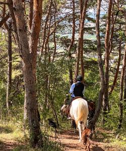 Georgia Horse Riding