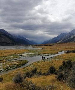 Landscape view 