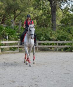 Australia Riding Lessons