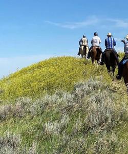 Riding towards the top of the hill