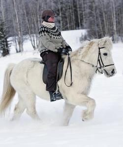 Lapland Riding