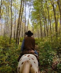 Rider on the route 