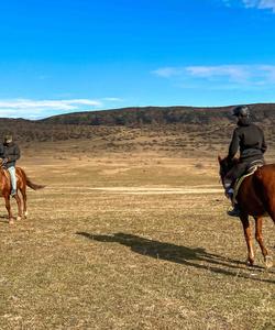 Georgia Horse Riding