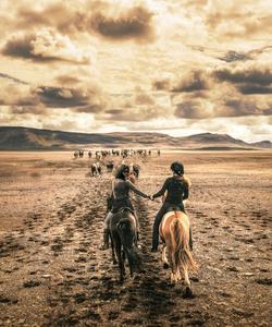 Iceland Horse Riding