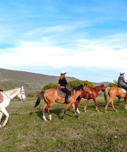 Georgia Horse Riding