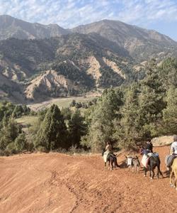 Uzbekistan Horse Riding