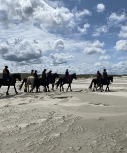 Group ride on the beach