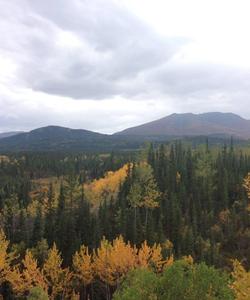 Yukon landscapes 