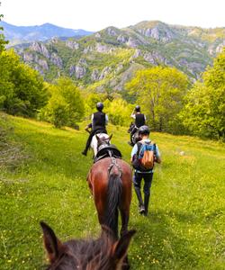 Georgia Horse Riding