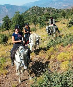 Andalusia Horse Riding