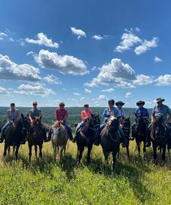 Horse riding trip