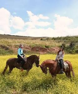 Peru Riding