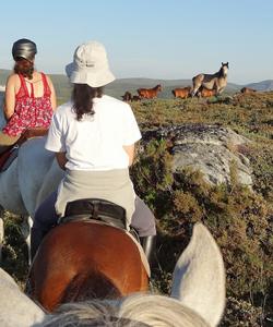 Portugal Riding