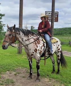 Rider atop a horse 