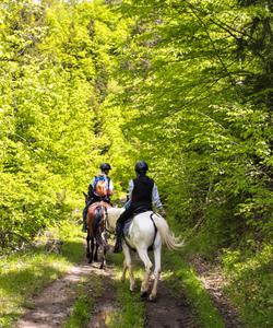 Georgia Horse Riding