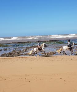 Beach ride